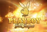 Playboy Life